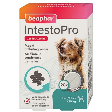 IntestoPro pour chien de plus de 20k