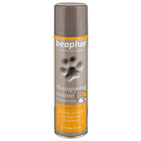 shampoing sec mousse pour chien et chat