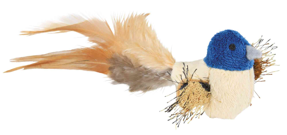 Oiseau Avec Plumes
