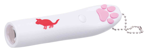 Pointeur Led Souris R41310