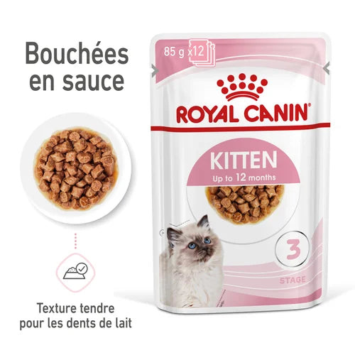 Kitten Sauce 12x85G