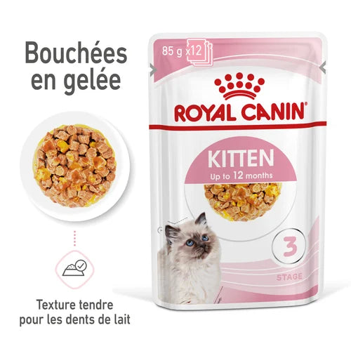 Kitten Gelée 12x85G
