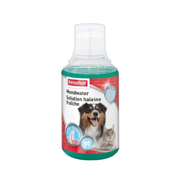 Soin dentaire pour chien et chat en solution 250 ml