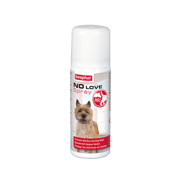 Spray de protection pour chienne en chaleur