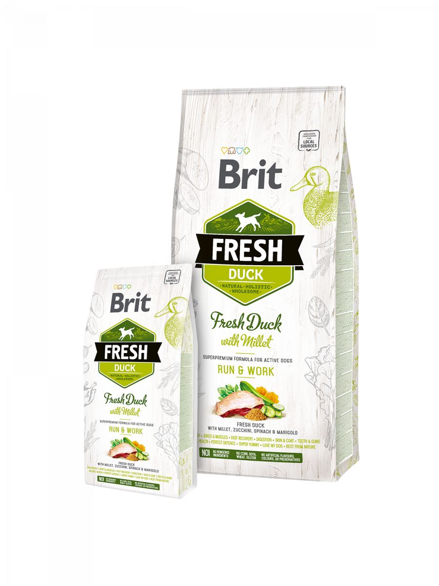 Brit Fresh Adult Energie Canard et Millet 12KG