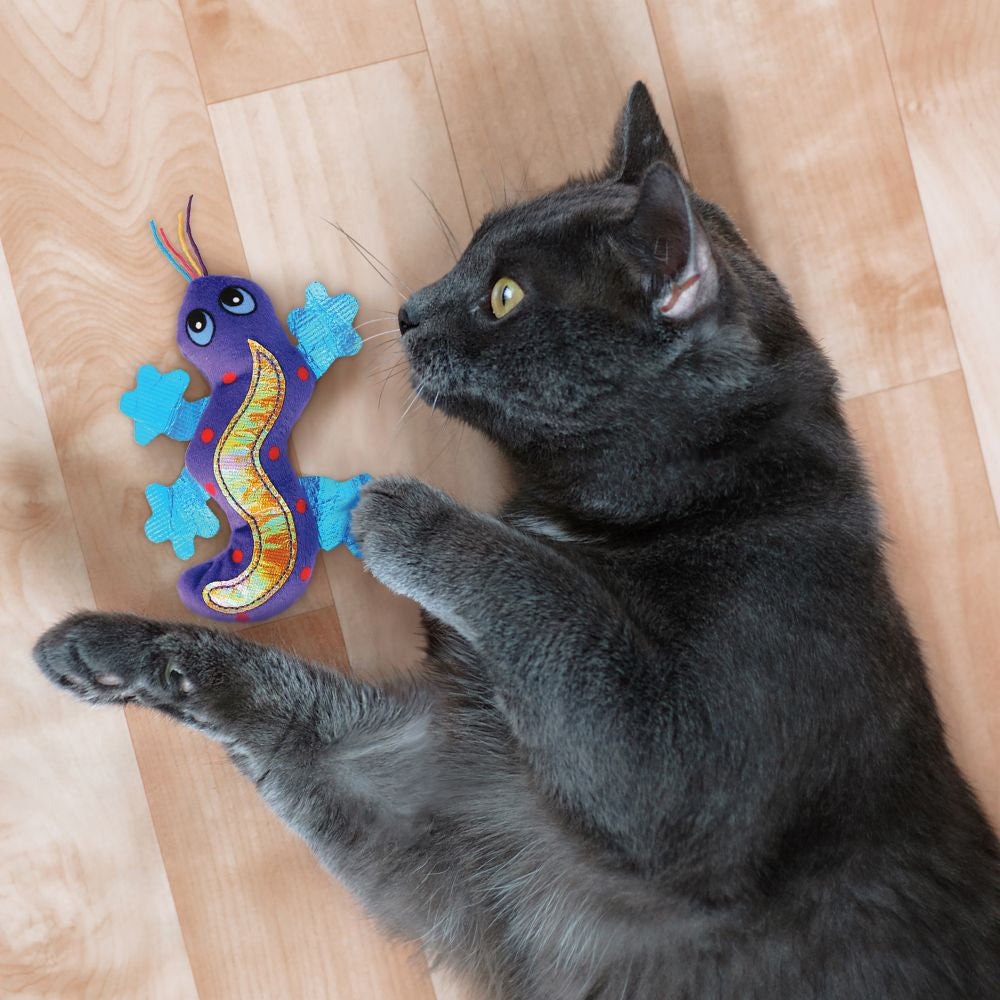 chat noir et son jouet gecko bleu