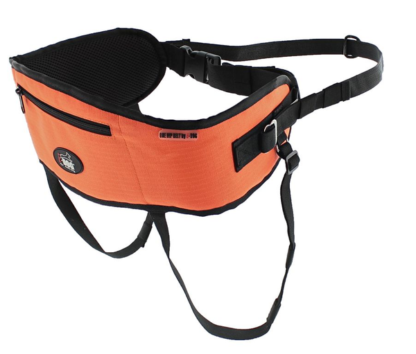 Baudrier Canicross One I-Dog
