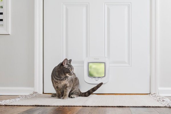Porte à puce Électronique blanche pour Chat 