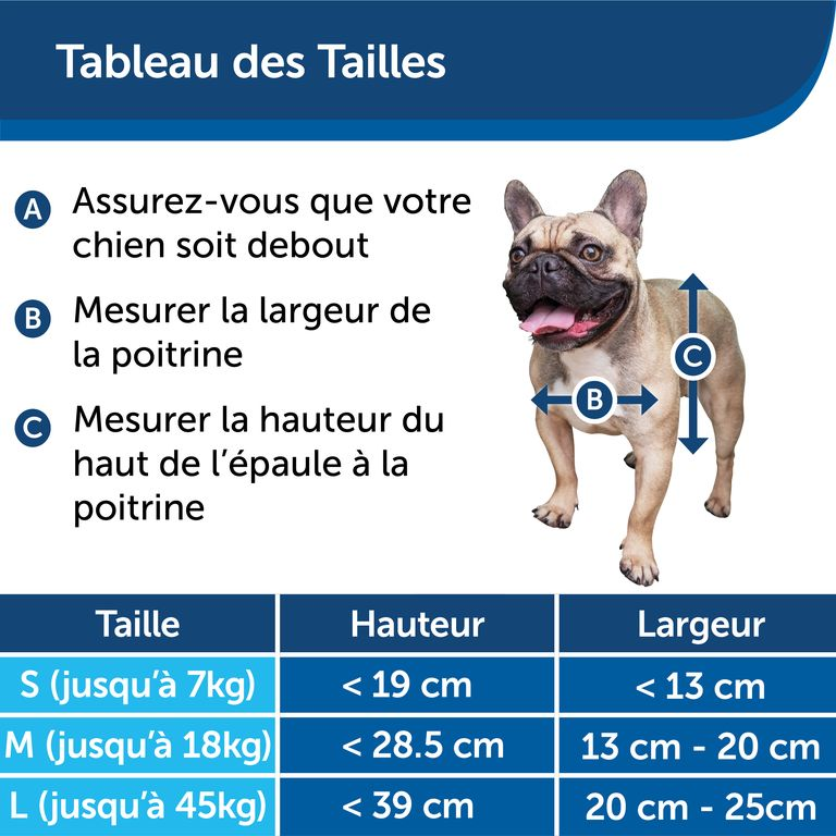 Guide Taille porte CY1258