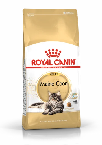 Maine Coon Adulte 4KG