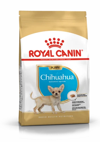 Chihuahua Puppy 1,5Kg