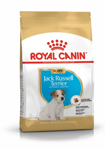 Jack Russell Terrier Puppy 1,5Kg