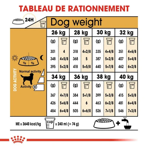 Labrador Retriever Adult 12Kg