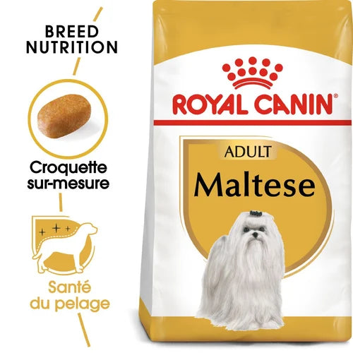 Bichon Maltais/Maltese Adult 1,5Kg