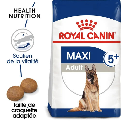 Maxi Adult 5+ 15Kg