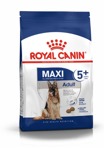 Maxi Adult 5+ 4Kg