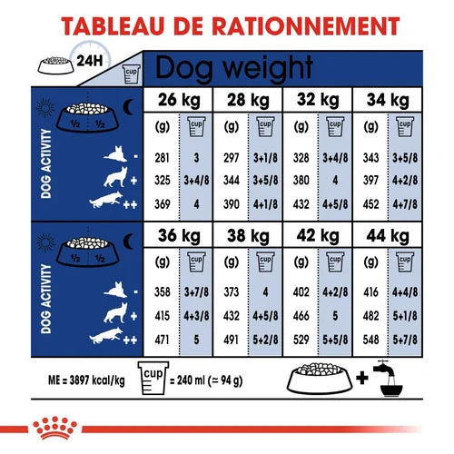 Maxi Adult 5+ 15Kg