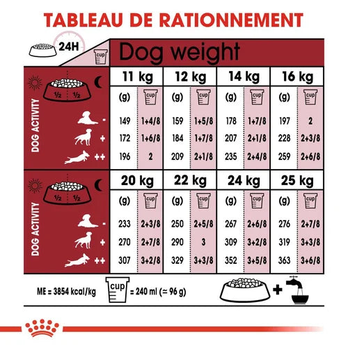 Medium Adult 7+ 15Kg