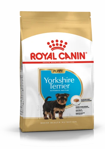 Yorkshire Terrier Junior 1,5Kg