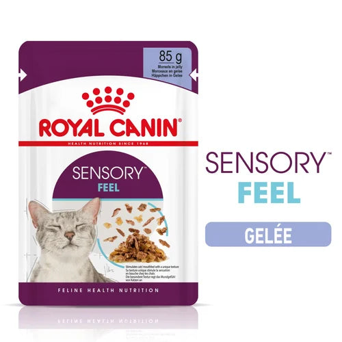 Sensory Feel Gelée 12X85G