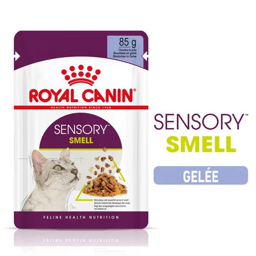 Sensory Smell Gelée 12X85G