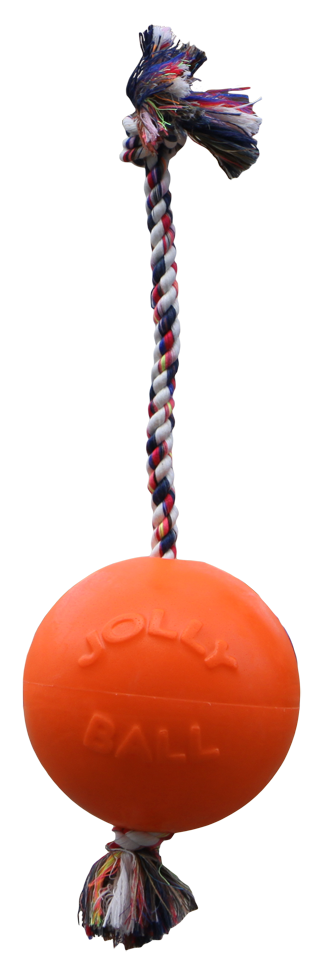 Jolly Ball Romp-N-Roll Orange Ø20cm