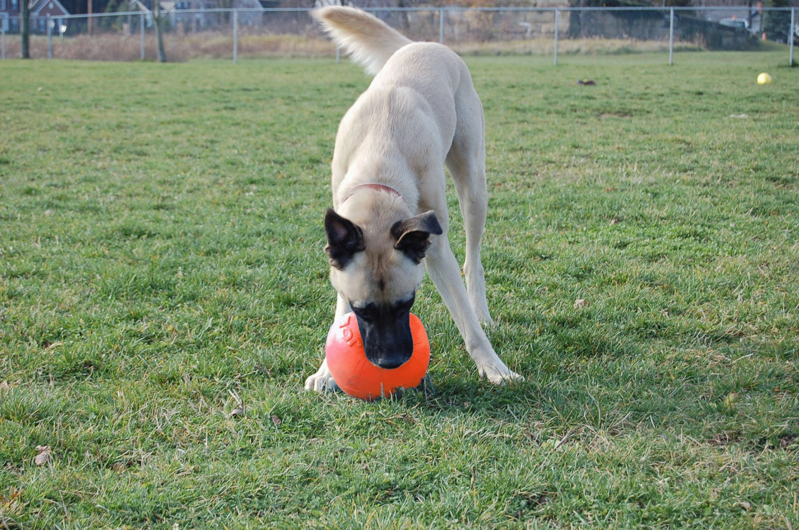 Jolly Ball Bounce-N-Play Orange Ø15cm