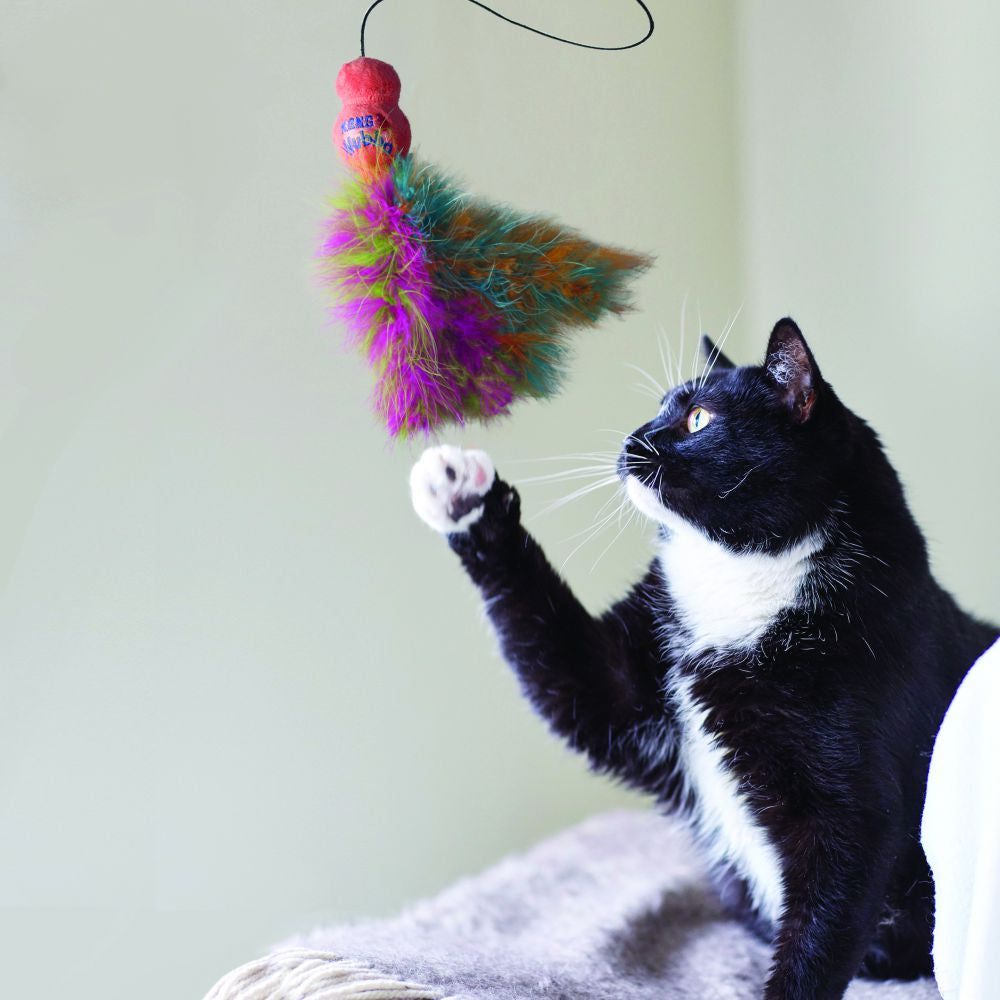 chat jouant avec le kong wubba boa