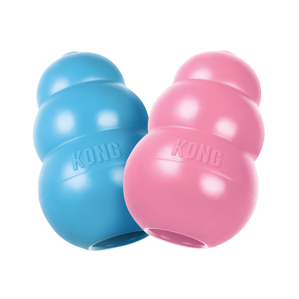 Jouets KONG puppy 1 rose et 1 bleu