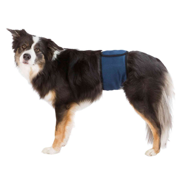 Couches Lavables Pour Chien Mâle S 29–37cm
