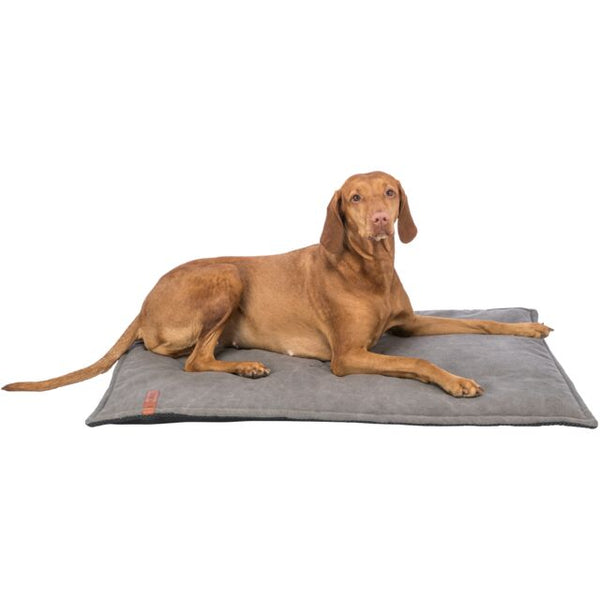 Matelas Föhr Be Nordic Gris Foncé