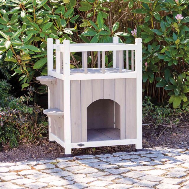 Cat's Home